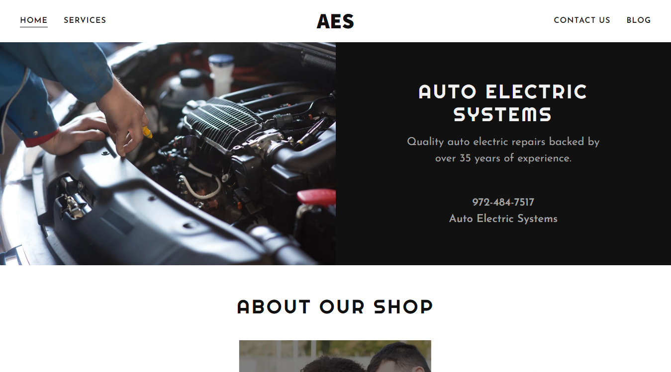 Website screenshot for Auto Electric Systems