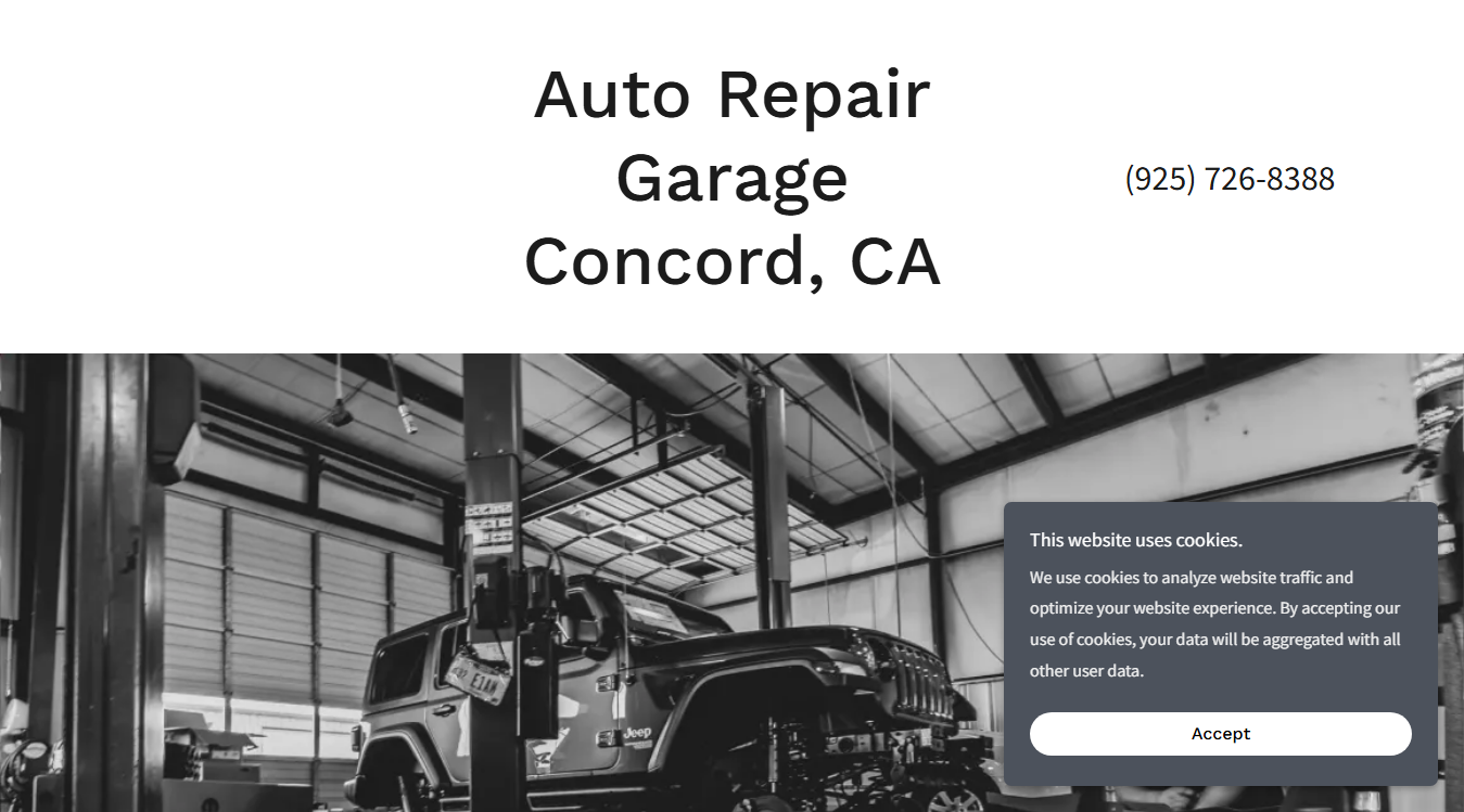 Website screenshot for Auto Repair Garage