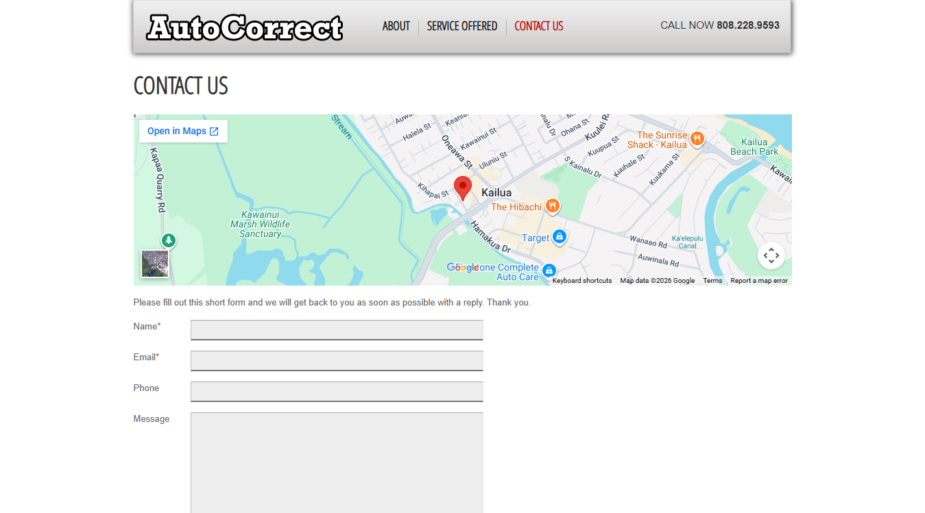 Website screenshot for AutoCorrect LLC