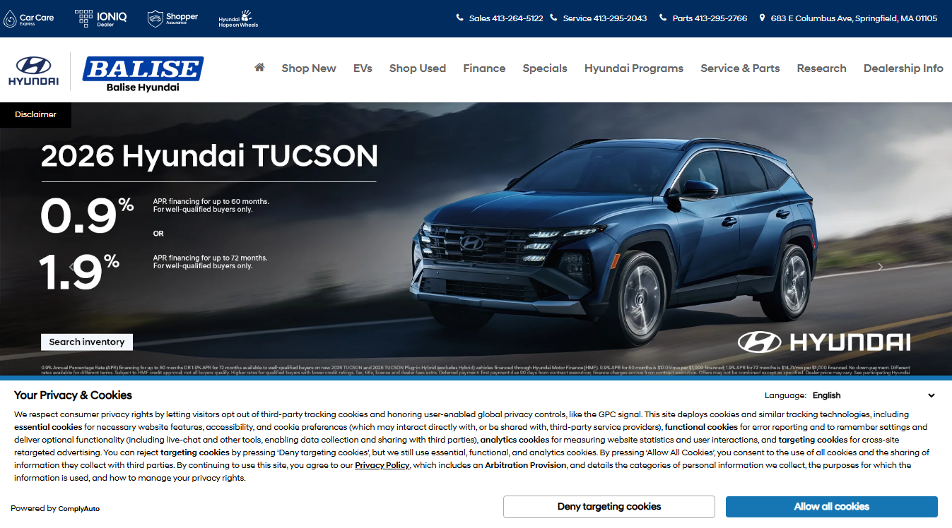 Website screenshot for Balise Hyundai