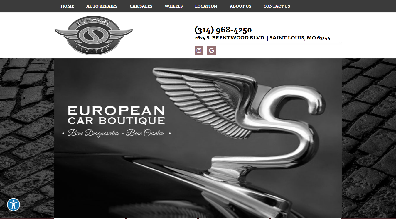 Website screenshot for Erwin F. Schwarz Ltd