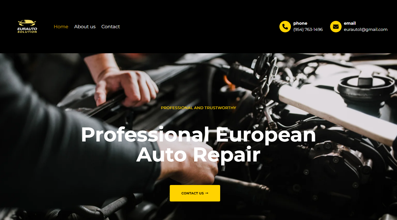 Website screenshot for EurAutoSolution INC