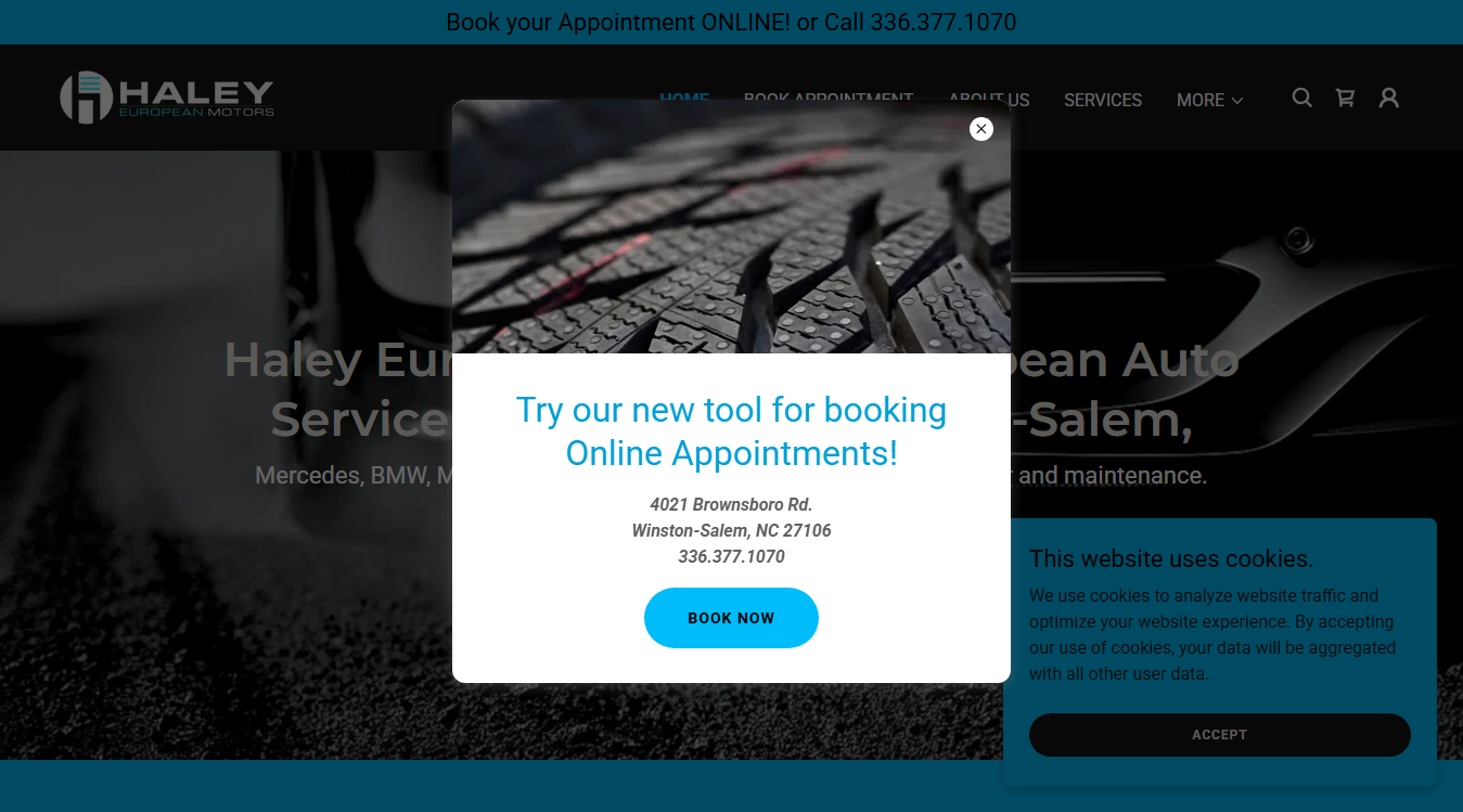 Screenshot of Haley European Motors