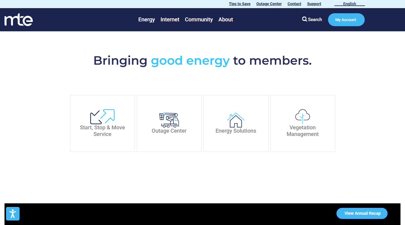Website screenshot for Mtemc Fleet Services