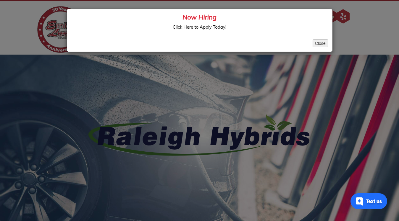 Website screenshot for Raleigh Hybrids