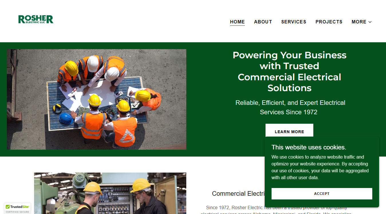 Website screenshot for Rosher Electric LLC