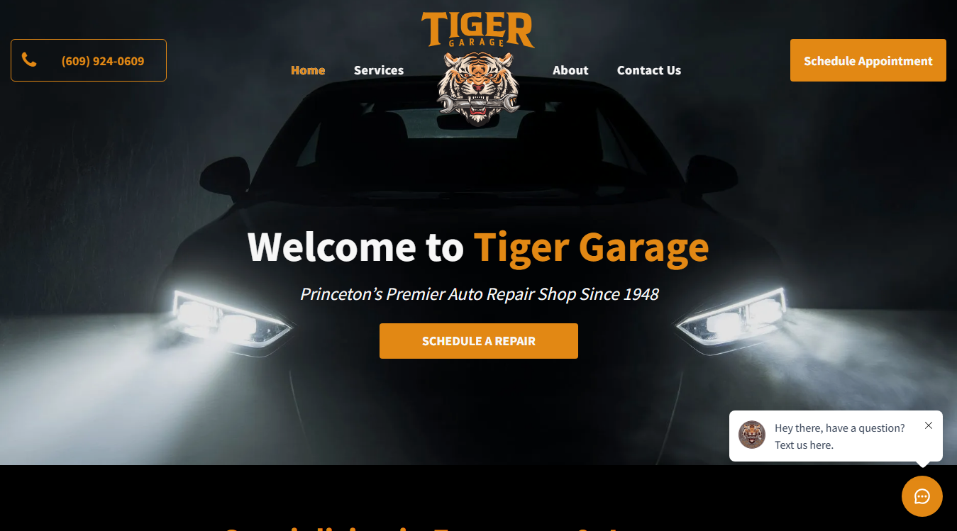 Website screenshot for Tiger Garage