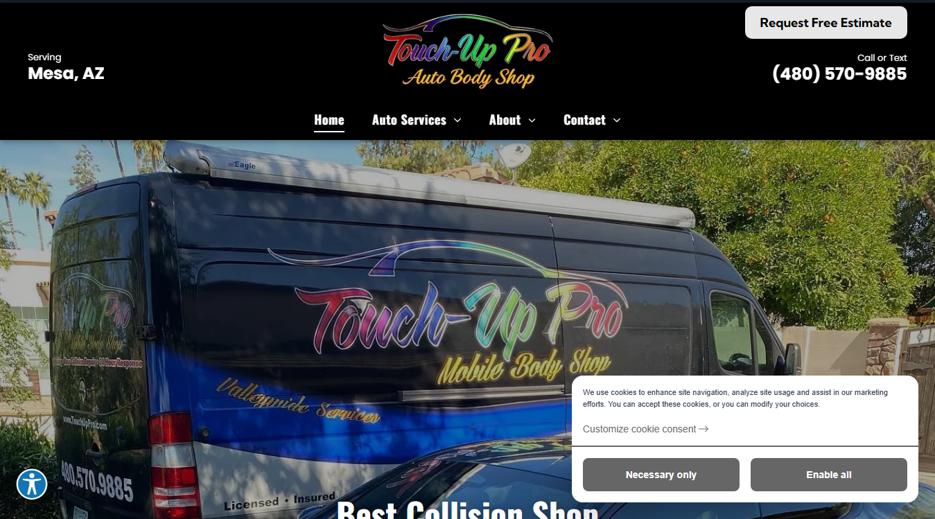 Website screenshot for Touch-Up Pro