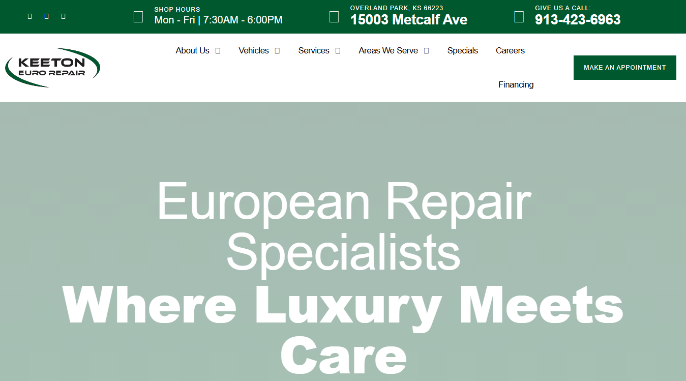 Website screenshot for Twins Auto Electrical and mechanical Repair