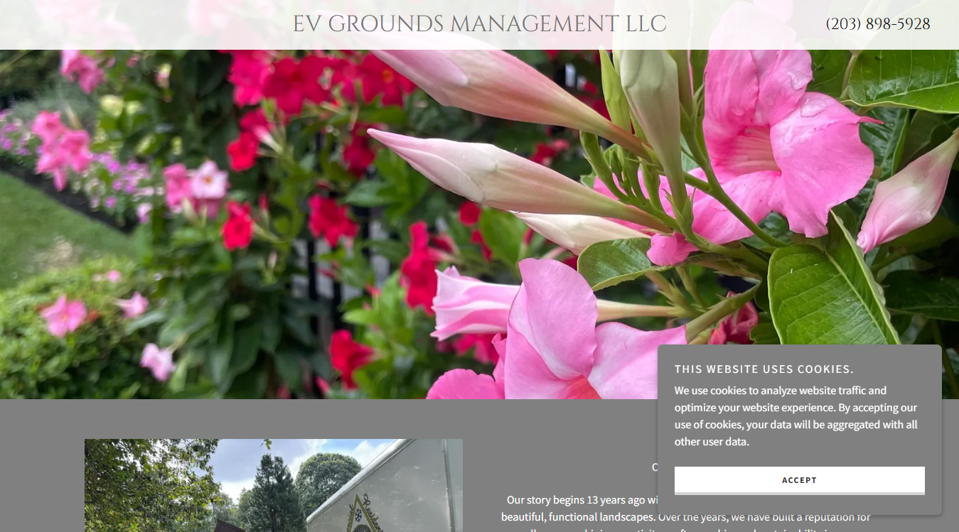 Website screenshot for Webbs Service Center
